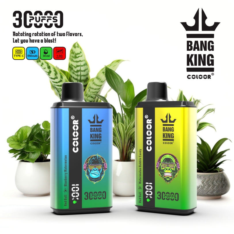 10pcs Bang King B2 30K Puffs Disposable Vape Zen Vape Store 10pcs Bang King B2 30K Puffs Disposable Vape Zen Vape Store