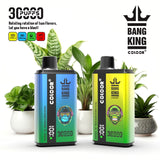 Load image into Gallery viewer, 10pcs Bang King B2 30K Puffs Disposable Vape